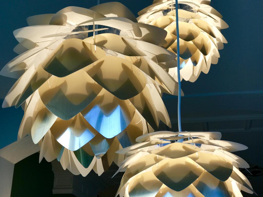 Maison Rue De La Mer 잔드보르트 외부 사진